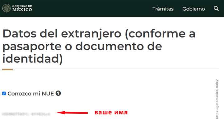Проверка резидента Мексики в миграционной базе 4