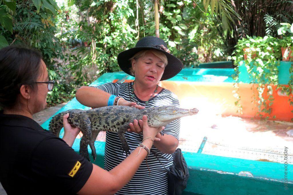 Croco Cun Zoo, Cancun, Mexico
