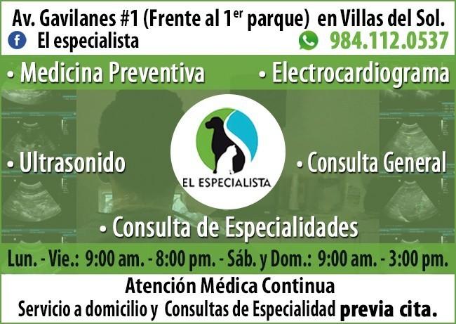 El Especialista Villas del Sol