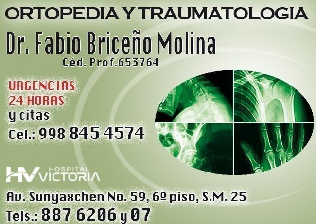 Fabio Briceño Molina, Dr.