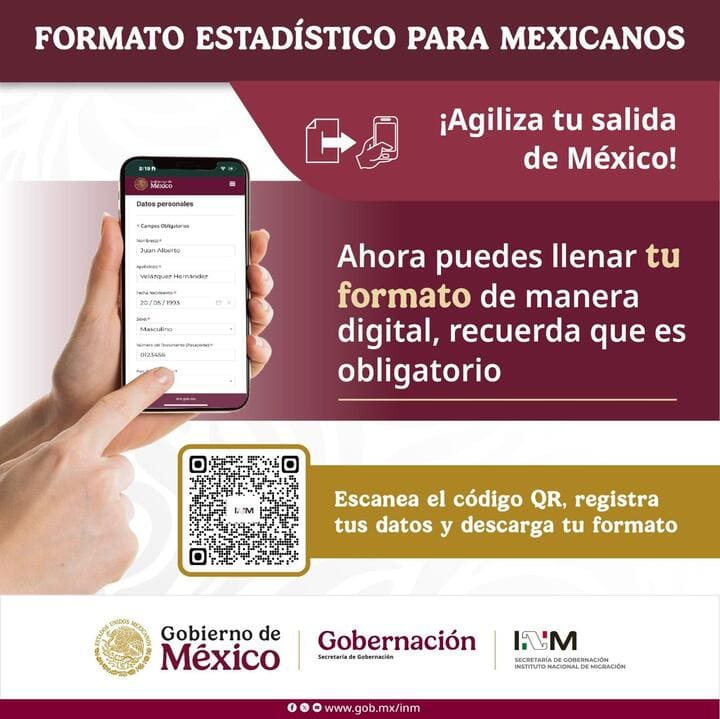 Formato Estadístico para Mexicanos (FEM)