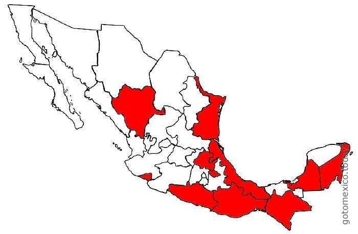 Digital platforms in Mexico