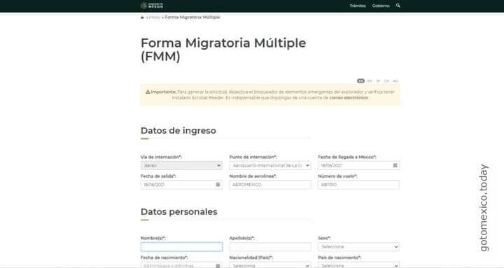 Миграционная форма Мексики FMM 4