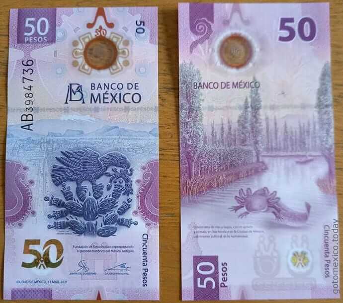 50 Mexican Pesos banknote serie G