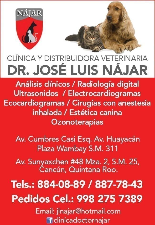 José Luis Najar, Dr.