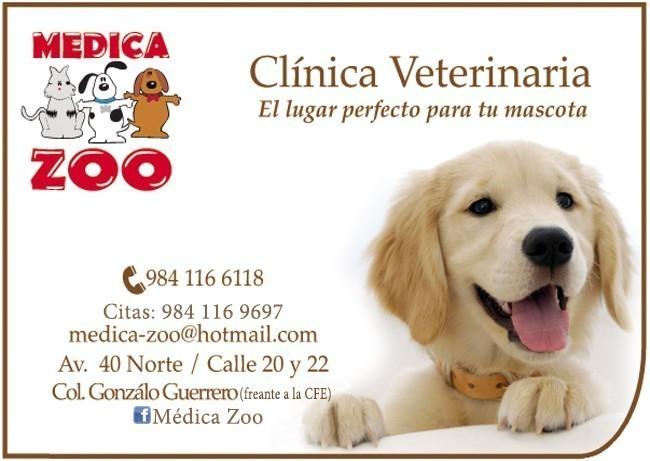 Medica Zoo