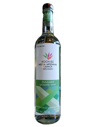Мескаль Koch Ensamble – Angustifolia/ Karwinskii