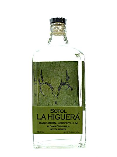 Сотол La Higuera Leiophyllum