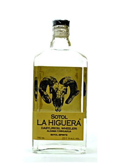 Сотол La Higuera Wheeleri