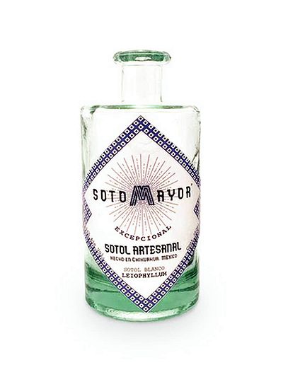 Сотол Sotomayor Leiophyllum