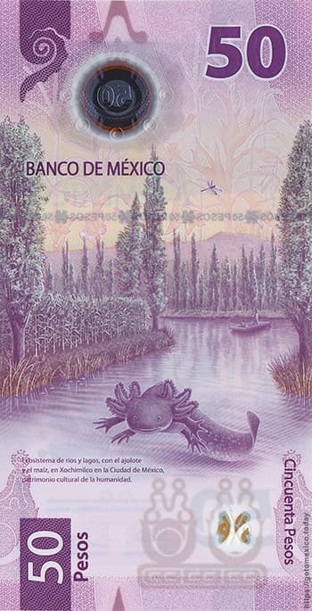 50 Mexican Pesos banknote serie G