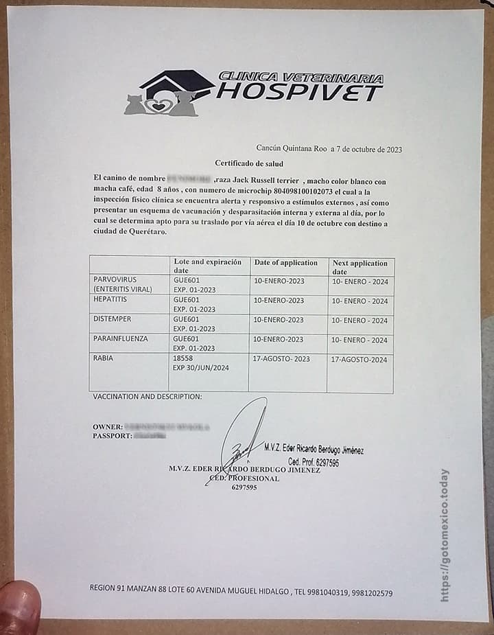 Справка о здоровье собаки для внутренних перелетов по Мексике