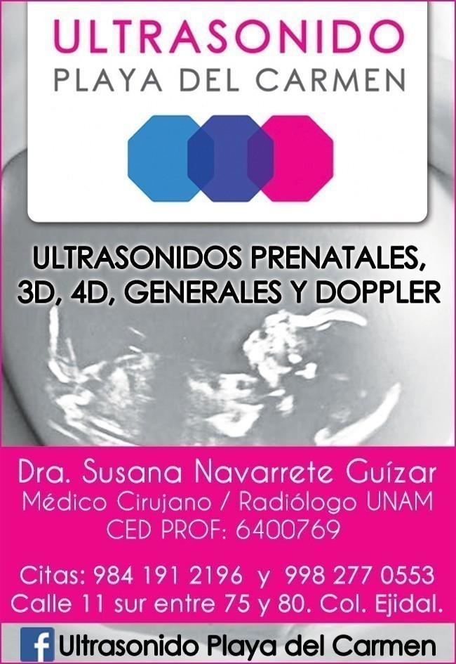 Susana Navarrete Guízar, Dra.